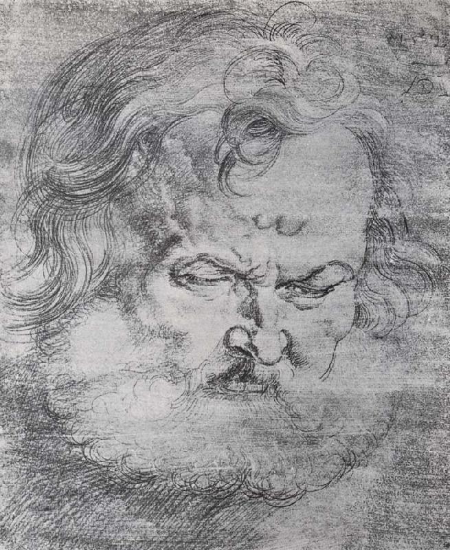 Albrecht Durer Head of St.Peter oil painting image